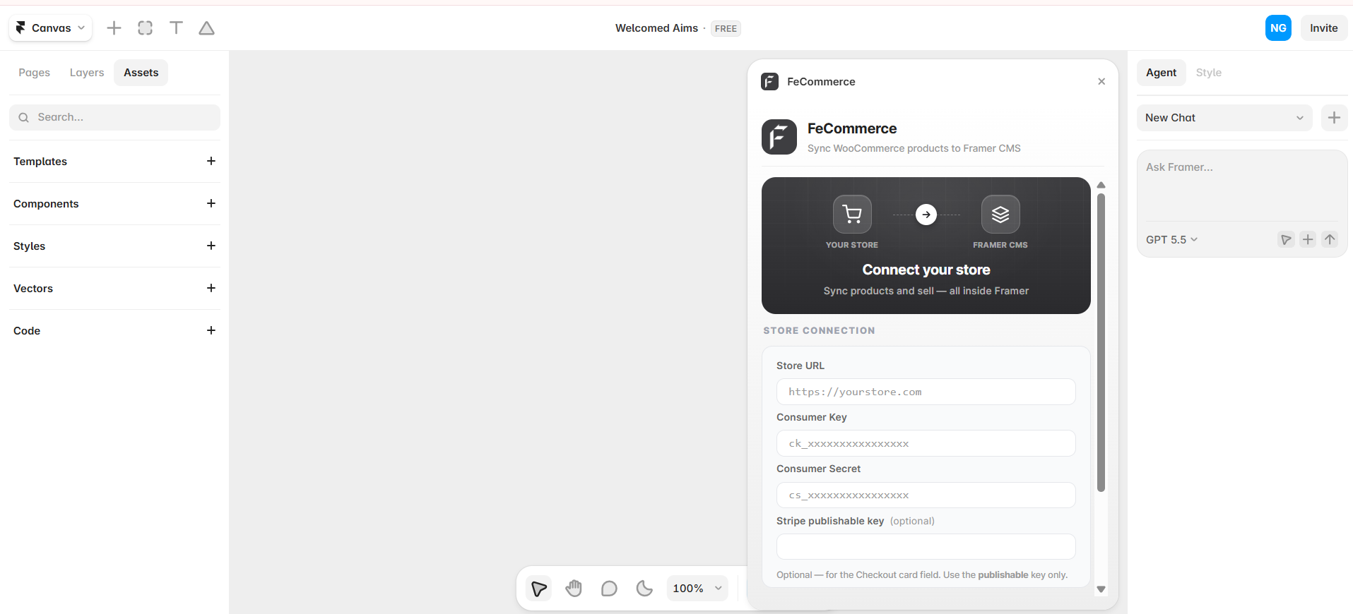 The FeCommerce plugin panel showing the Store URL and WooCommerce API key fields